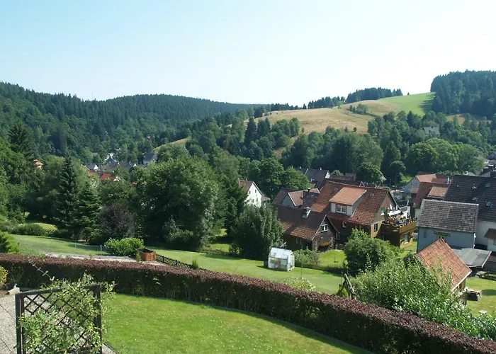 Haus Reimann Apartment Altenau (Lower-Saxony)
